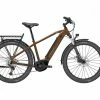 VAE Lapierre E-Explorer 6.5 Marron 500Wh – 2022 1 VAE Lapierre E-Explorer 6.5 Marron 500Wh – 2022 -Vélo Soldes Magasin vae lapierre e explorer 65 marron 500wh 2022